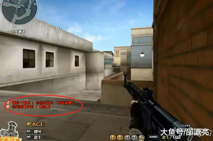 2025LPL夏季赛定组赛趣味数据：飞机出场最多， rookie MVP最多